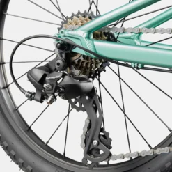 Cannondale Kids Trail 20 - Verde