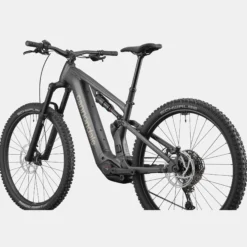 Cannondale Moterra 4 Plus - Grigio scuro