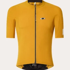 Uomo Q36.5 Maglie*agia Oakey X Gridkin Pintripe -