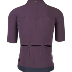 Uomo Q36.5 Maglie*agia Pintripe Pro - Bordeaux