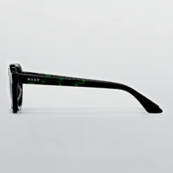 Occhiali Maap Gerson - Green Tortoise