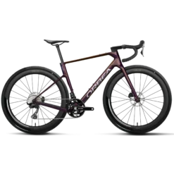 Orbea Terra Race M20LTD - Viola