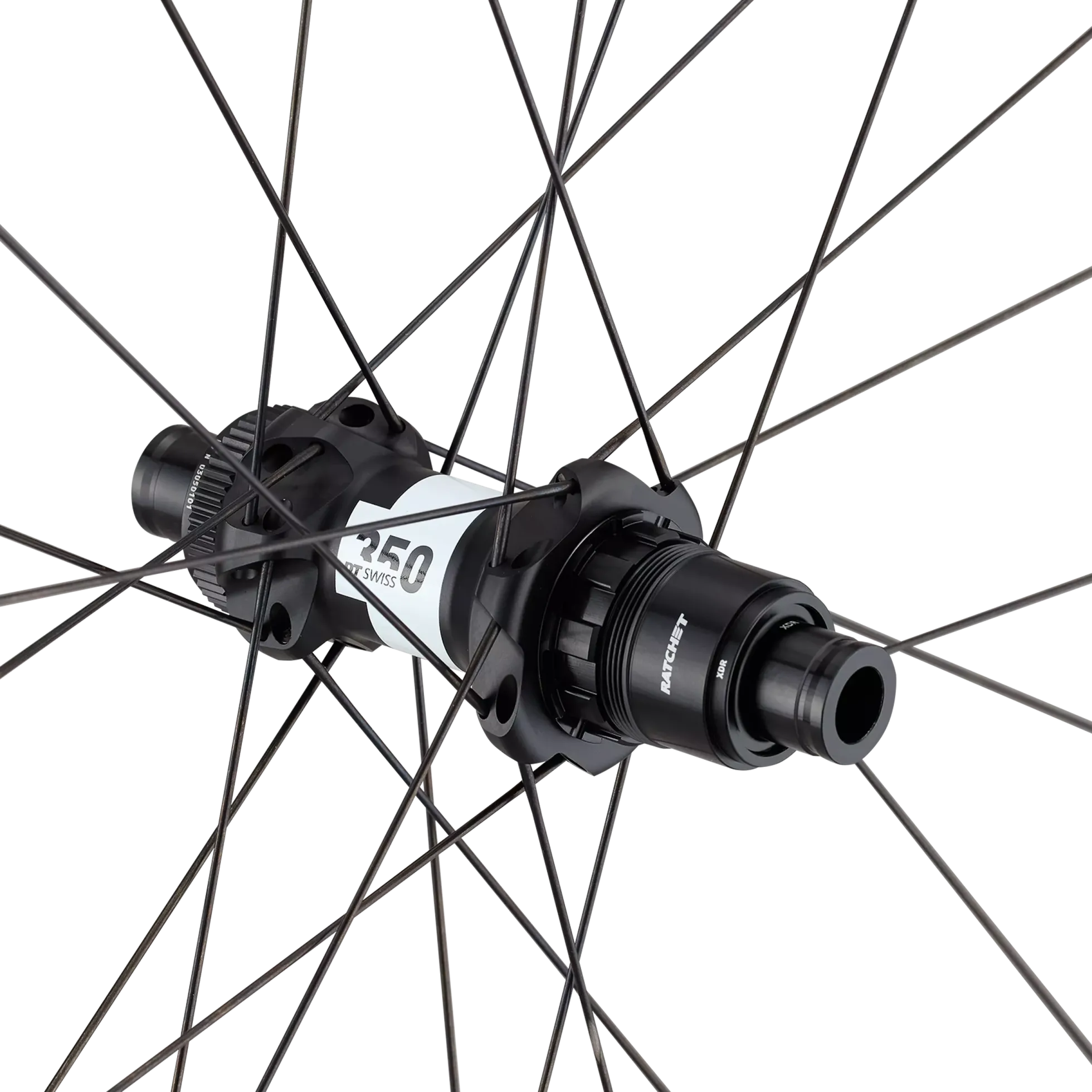 Ruota posteriore Roval Terra CL 3 - Nero