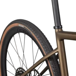 Specialized Diverge Expert Carbon - Marrone