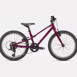 Specialized Jett 20 - Viola