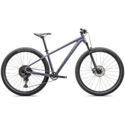 Specialized Rockhopper Comp - Viola