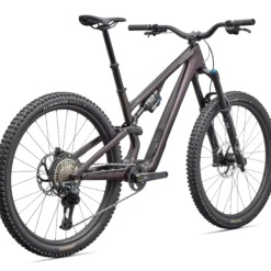 Specialized Stumpjumper 15 EVO Expert Di2 - Viola