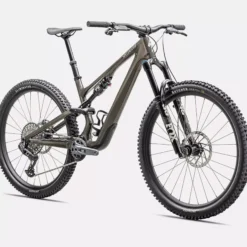 Specialized Stumpjumper 15 Expert - Grigio