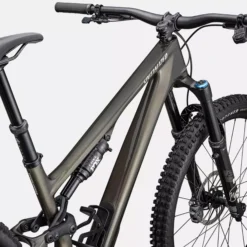 Specialized Stumpjumper 15 Expert - Grigio