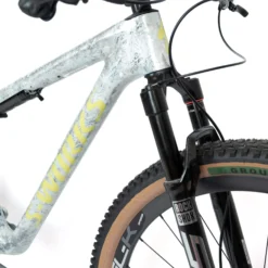 Specialized S-Works Epic WC GX Custom - Grigio