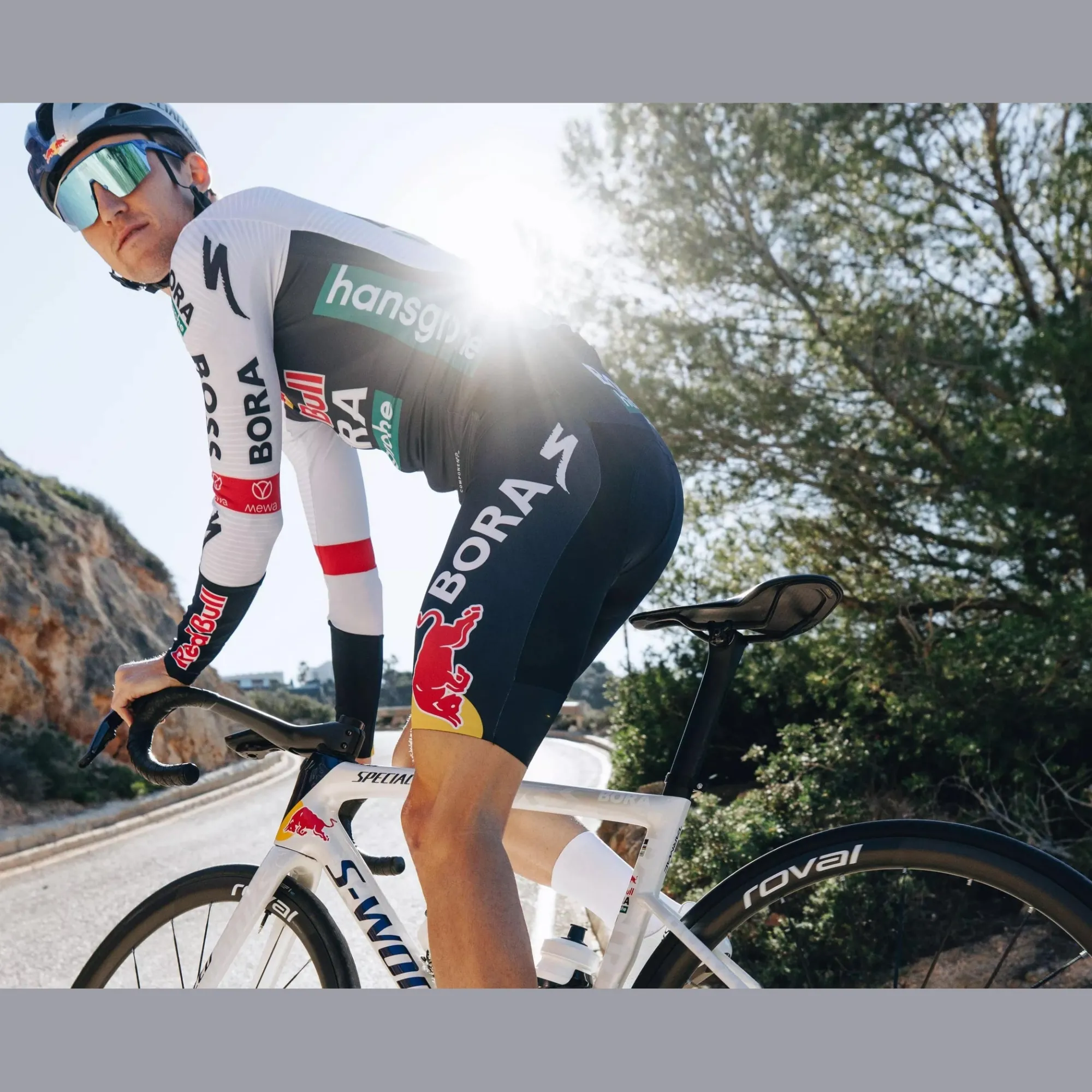 Specialized Telai*Telaio S-Works Tarmac SL8 - Red Bull - Bora Hansgrohe