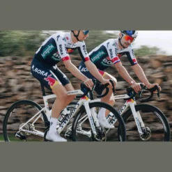 Specialized Telai*Telaio S-Works Tarmac SL8 - Red Bull - Bora Hansgrohe