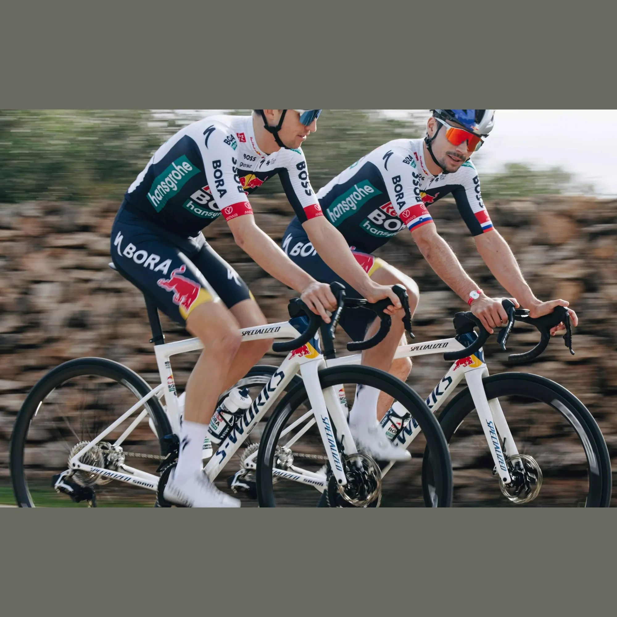 Specialized Telai*Telaio S-Works Tarmac SL8 - Red Bull - Bora Hansgrohe