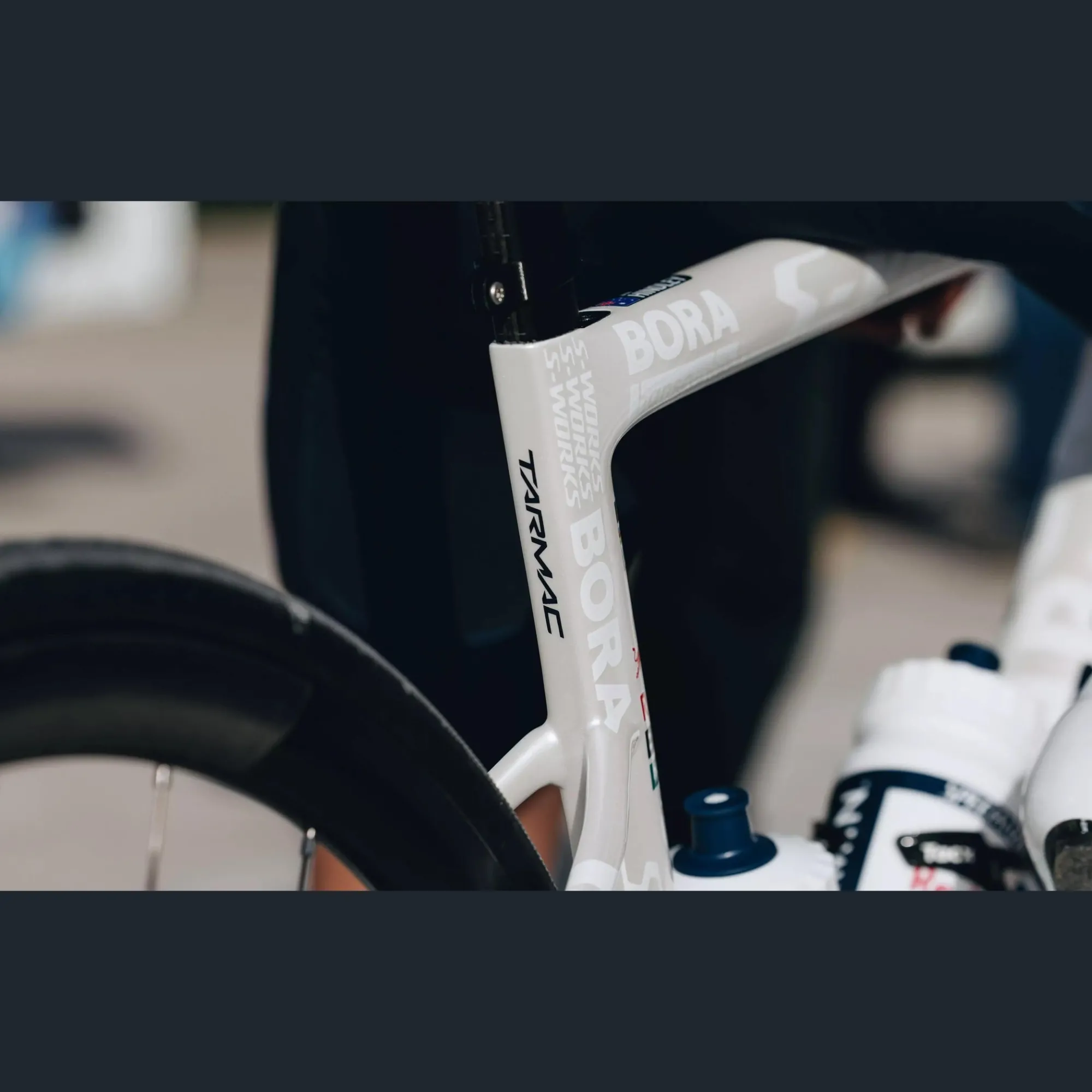Specialized Telai*Telaio S-Works Tarmac SL8 - Red Bull - Bora Hansgrohe